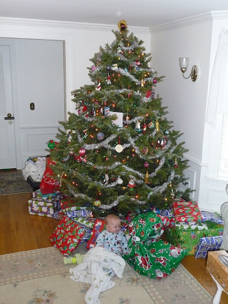 William's Twenty-Seventh Week 47.jpg